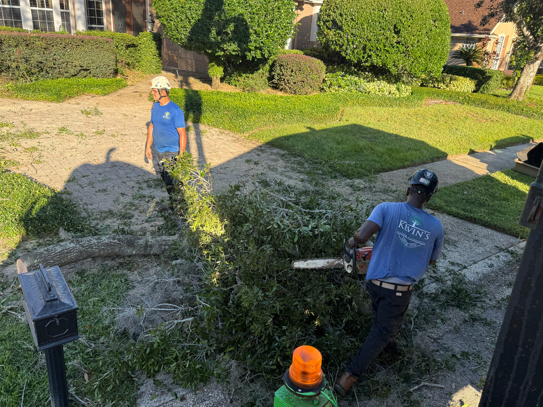 Kevin's Tree Service - Oviedo, FL