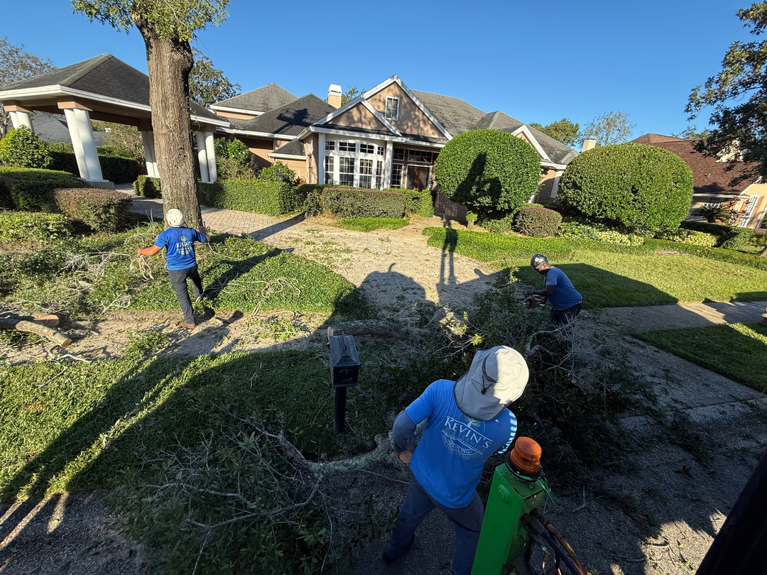 Kevin's Tree Service - Oviedo, FL