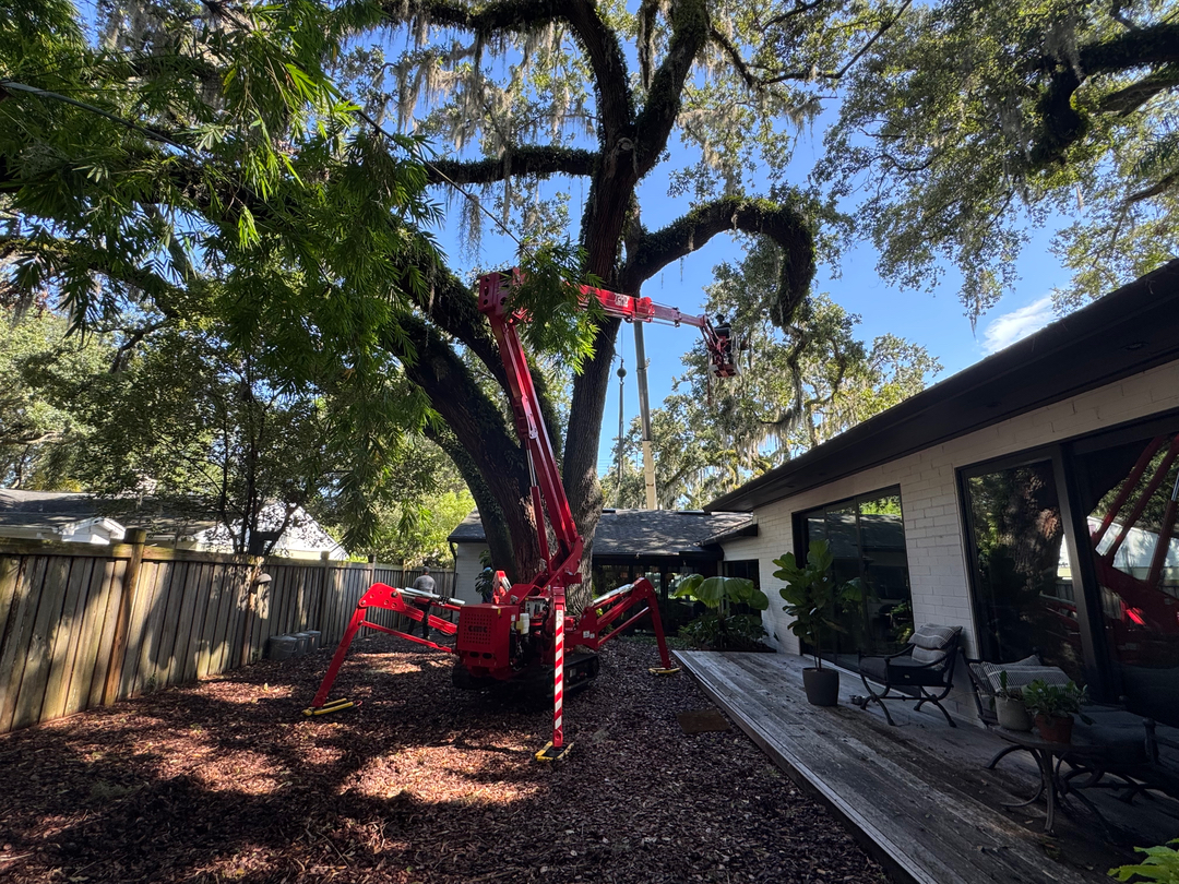 Kevin's Tree Service - Oviedo, FL