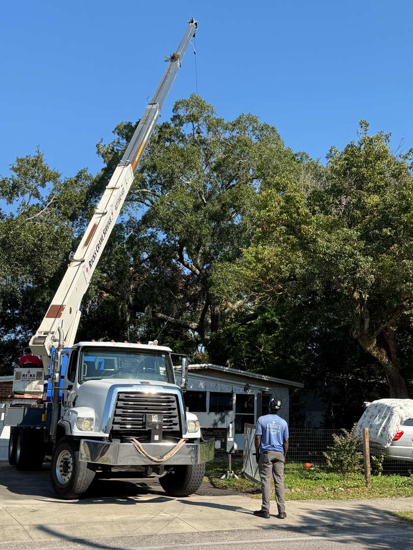 Kevin's Tree Service - Oviedo, FL