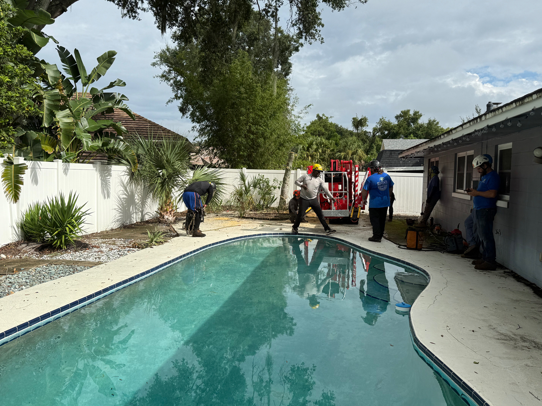 Kevin's Tree Service - Oviedo, FL