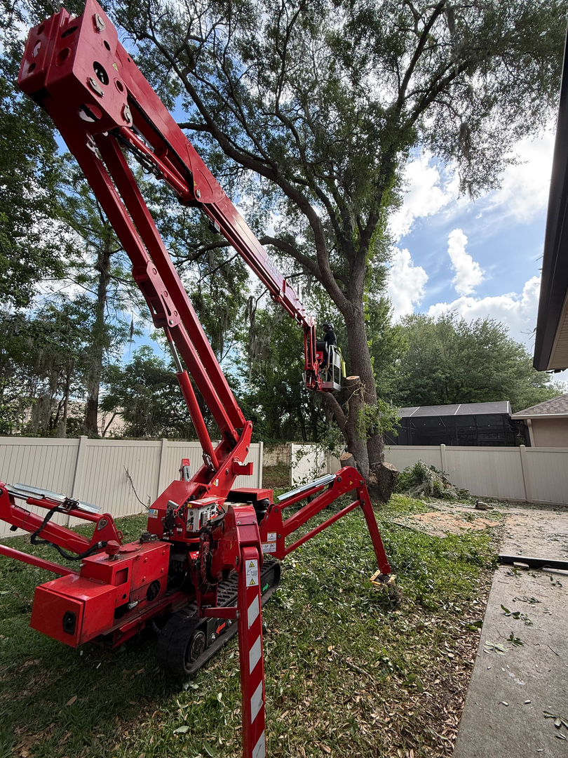 Kevin's Tree Service - Oviedo, FL