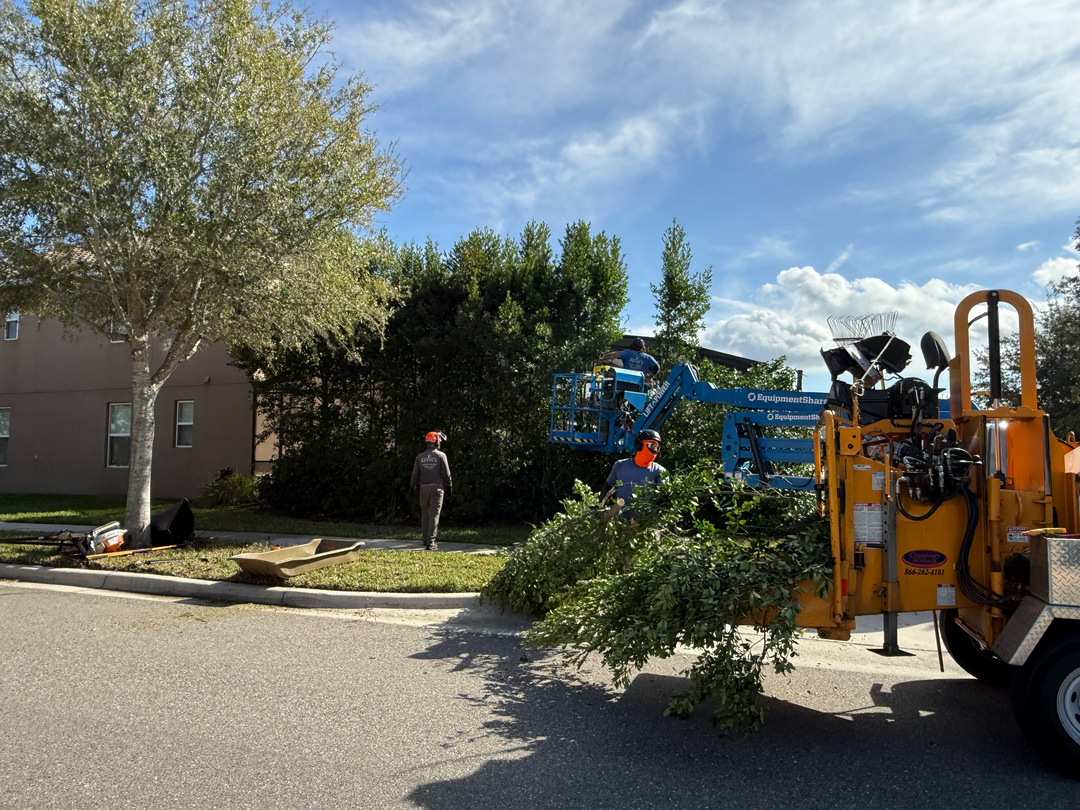 Kevin's Tree Service - Oviedo, FL