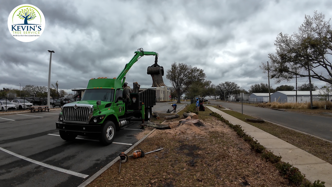 Kevin's Tree Service - Oviedo, FL