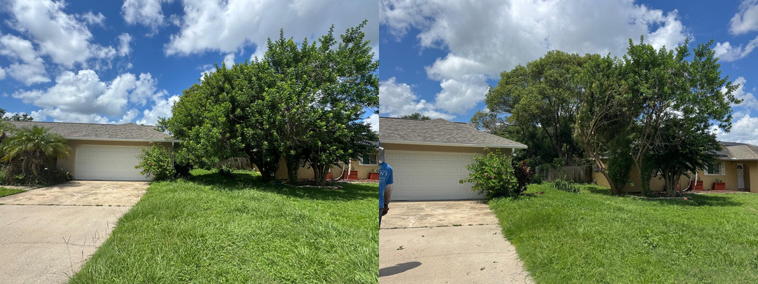 Kevin's Tree Service - Oviedo, FL
