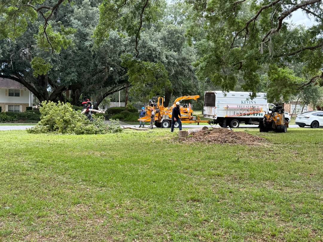 Kevin's Tree Service - Oviedo, FL