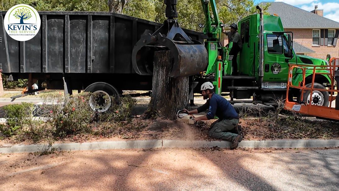 Kevin's Tree Service - Oviedo, FL