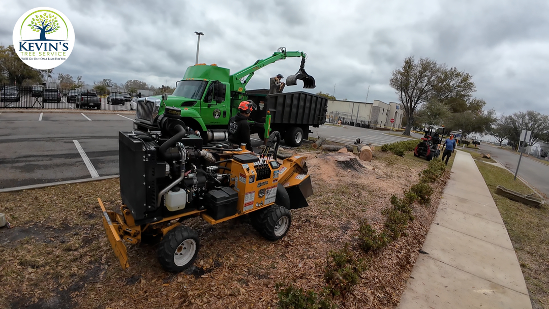 Kevin's Tree Service - Oviedo, FL