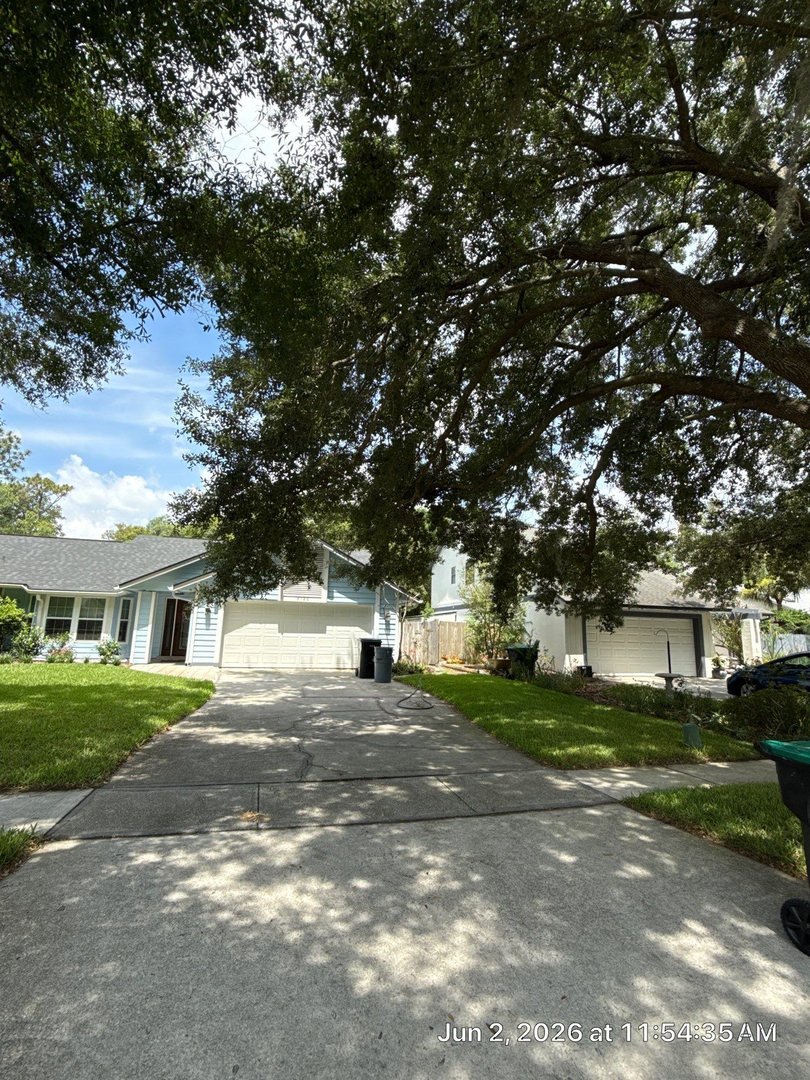 Kevin's Tree Service - Oviedo, FL