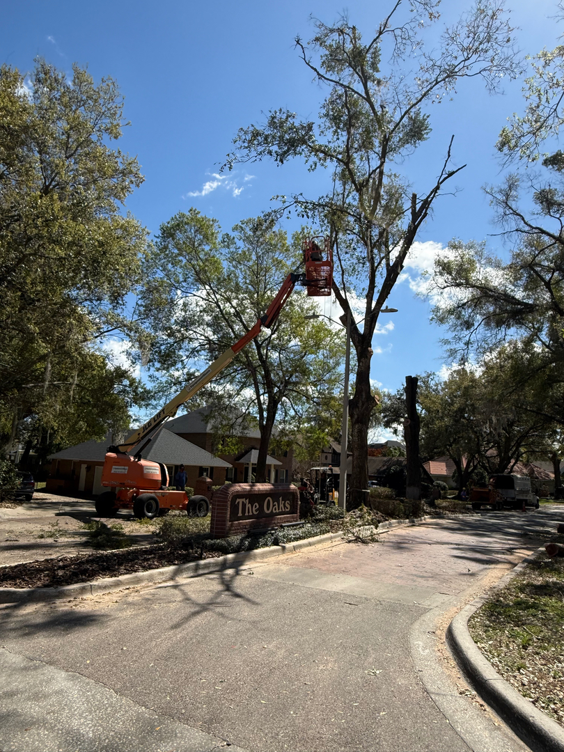 Kevin's Tree Service - Oviedo, FL