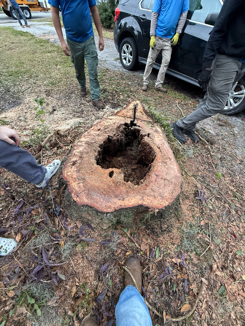 Kevin's Tree Service - Oviedo, FL