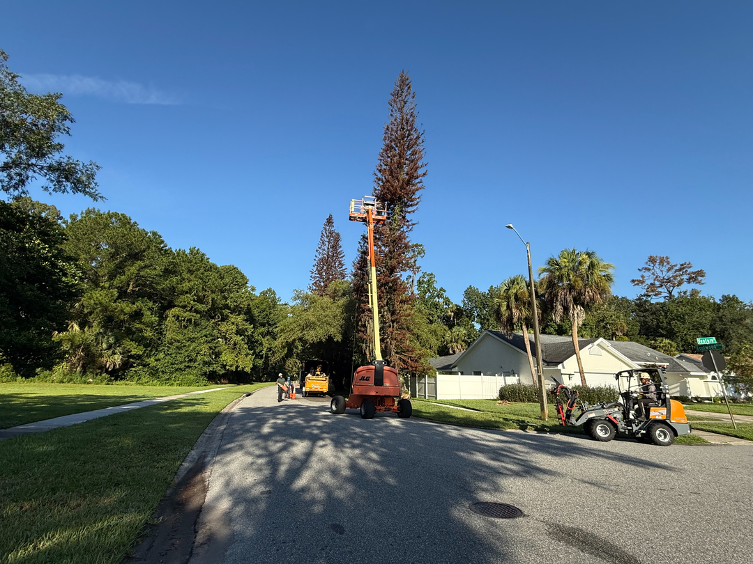 Kevin's Tree Service - Oviedo, FL