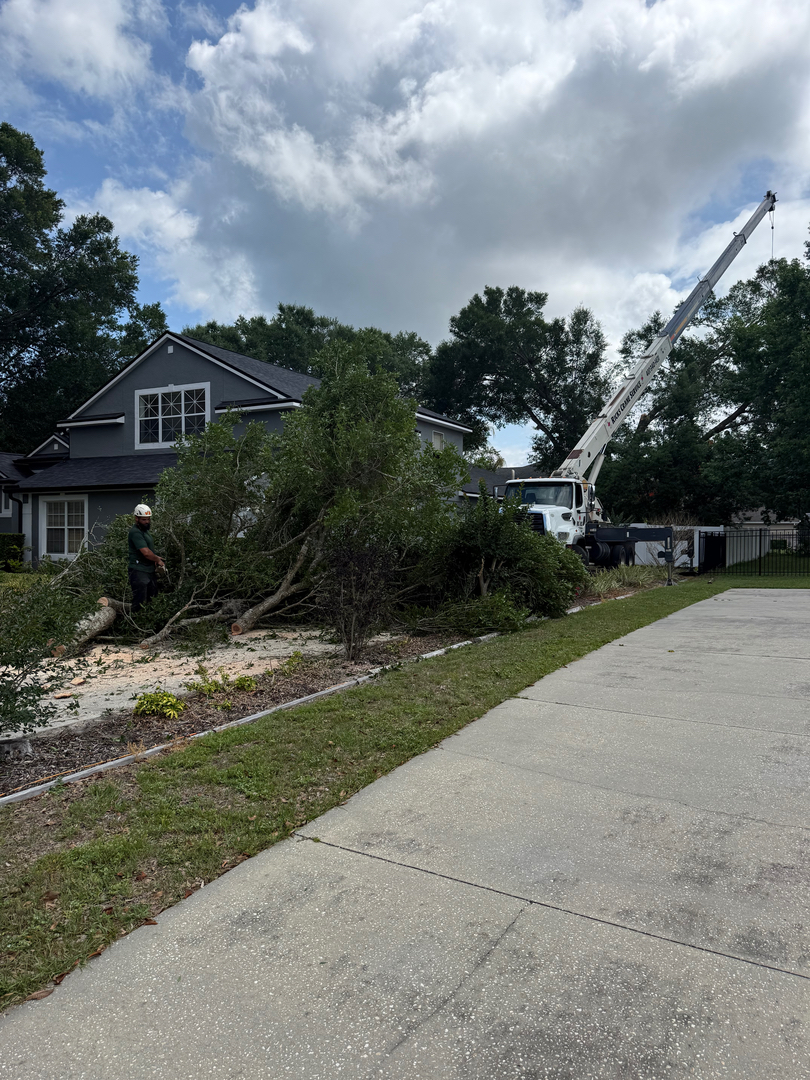 Kevin's Tree Service - Oviedo, FL