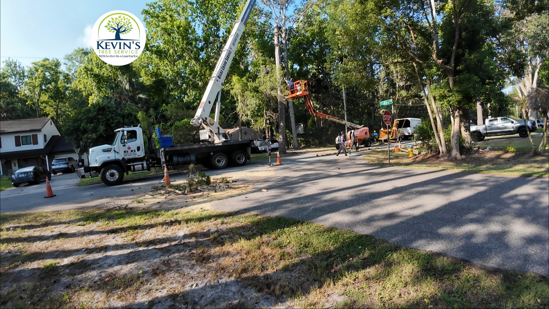 Kevin's Tree Service - Oviedo, FL
