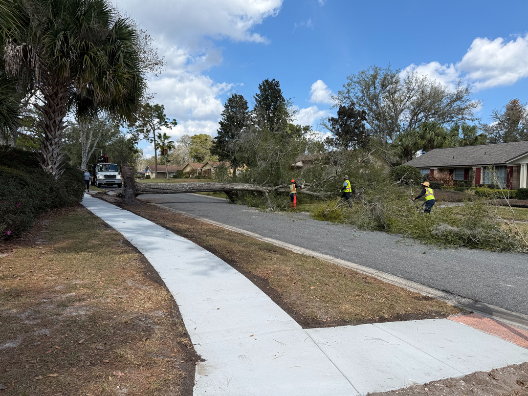 Kevin's Tree Service - Oviedo, FL