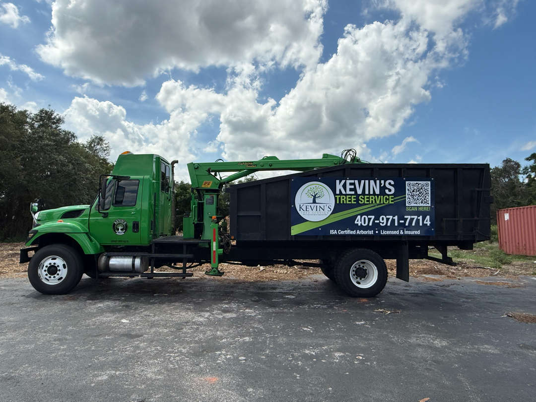 Kevin's Tree Service - Oviedo, FL