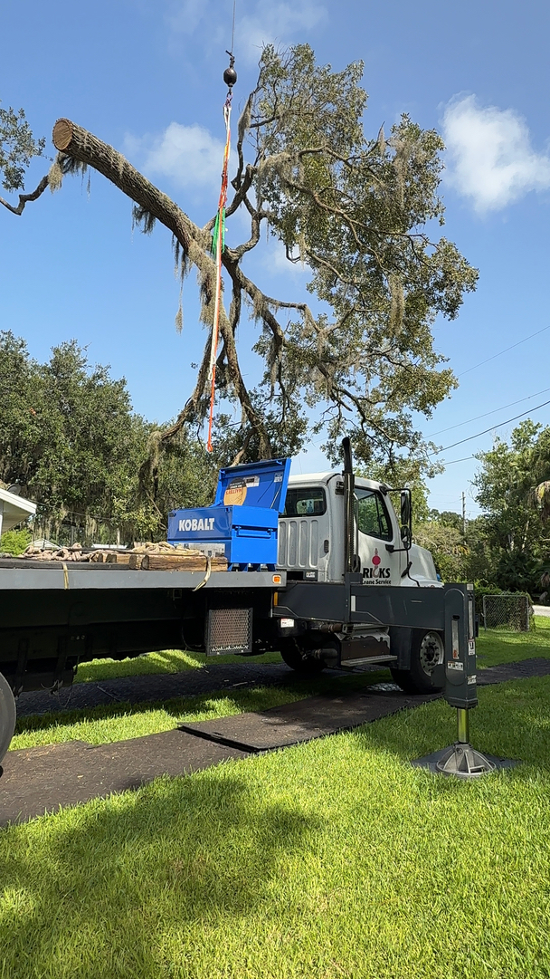 Kevin's Tree Service - Oviedo, FL