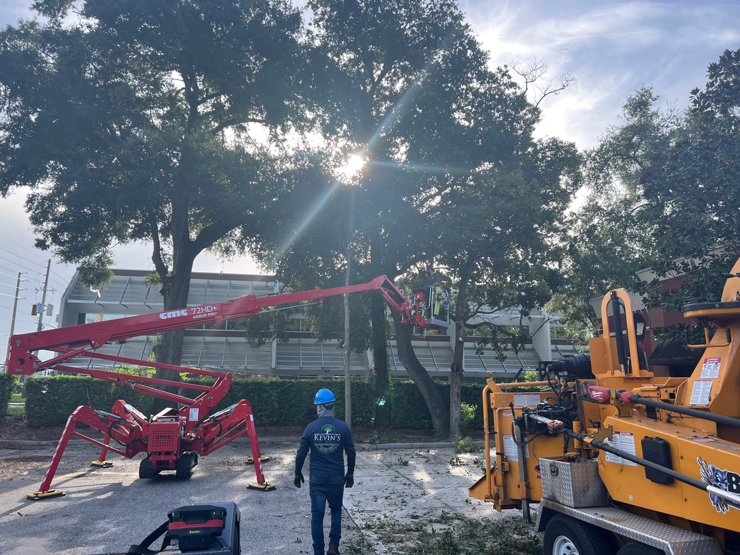 Kevin's Tree Service - Oviedo, FL