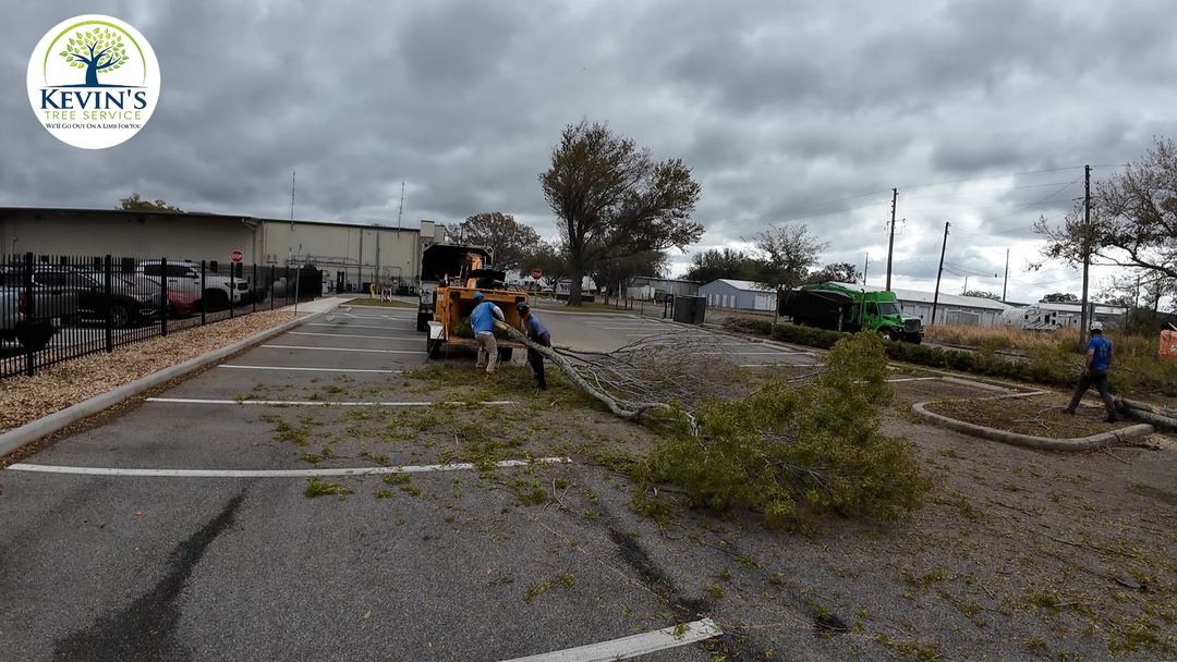 Kevin's Tree Service - Oviedo, FL