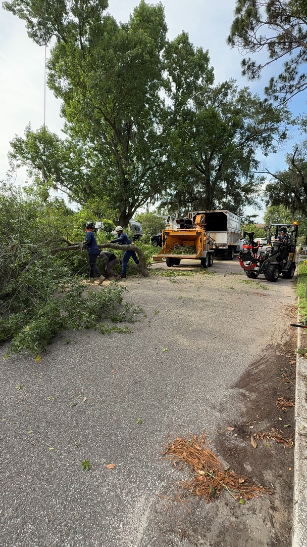 Kevin's Tree Service - Oviedo, FL