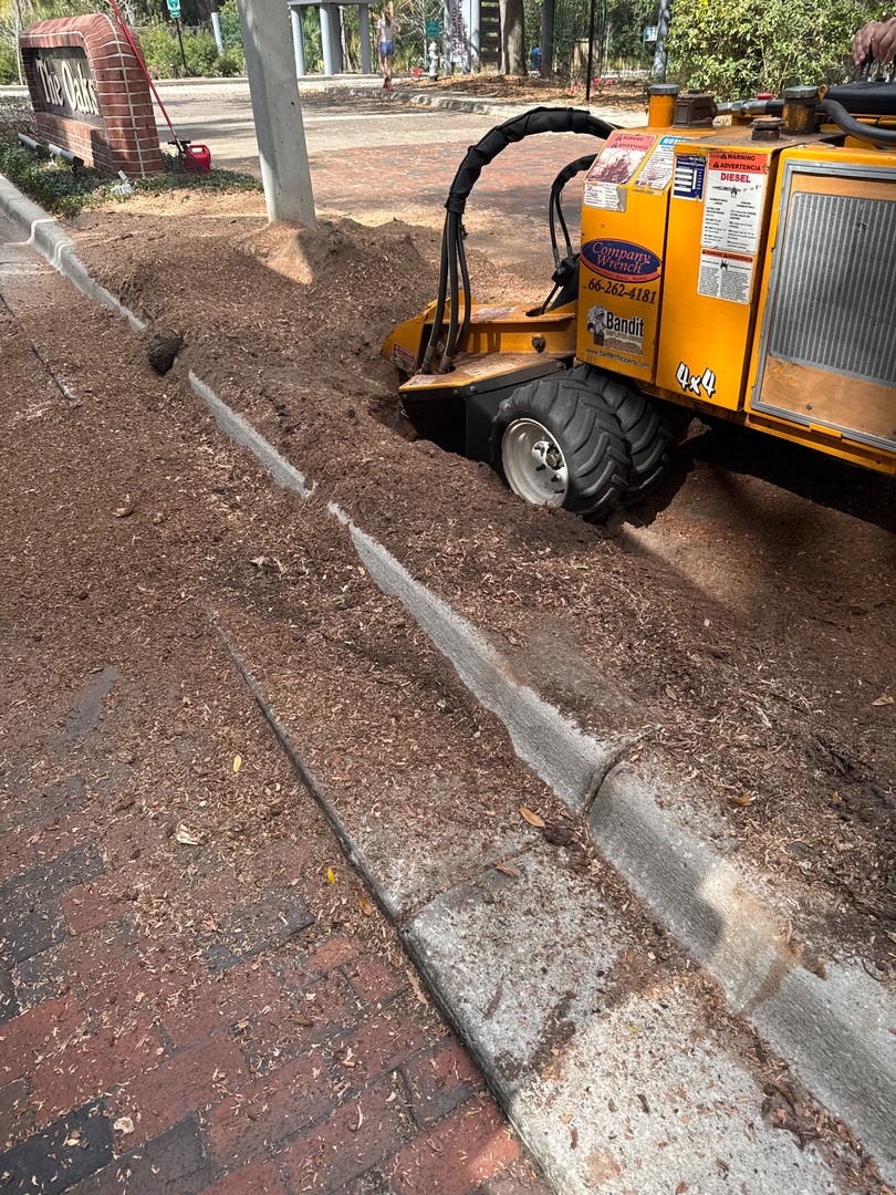 Kevin's Tree Service - Oviedo, FL