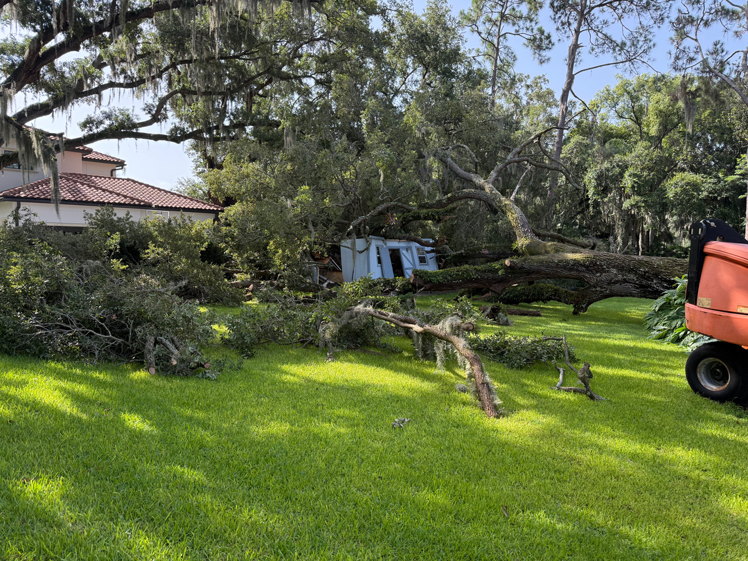 Kevin's Tree Service - Oviedo, FL