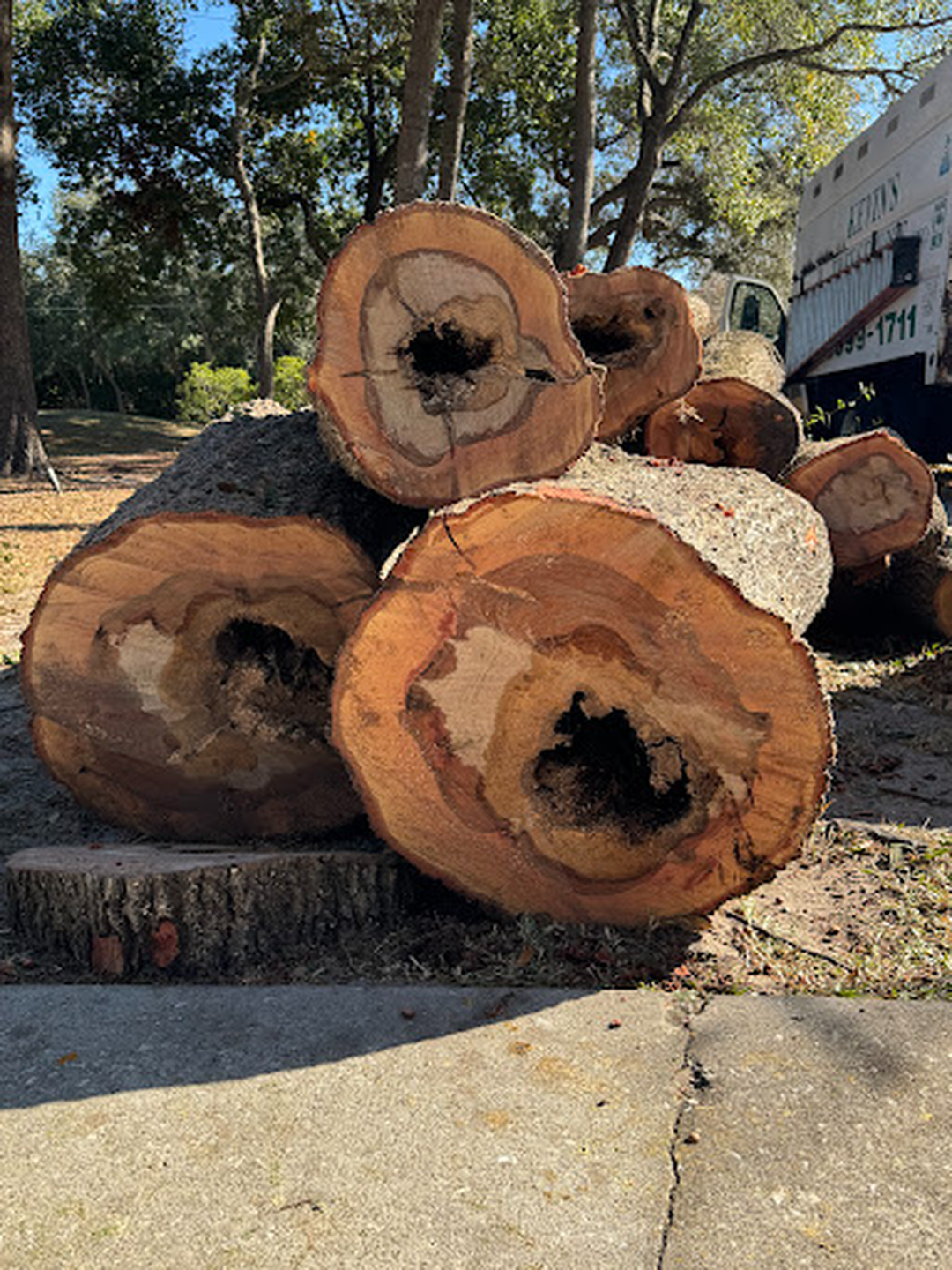 Kevin's Tree Service - Oviedo, FL