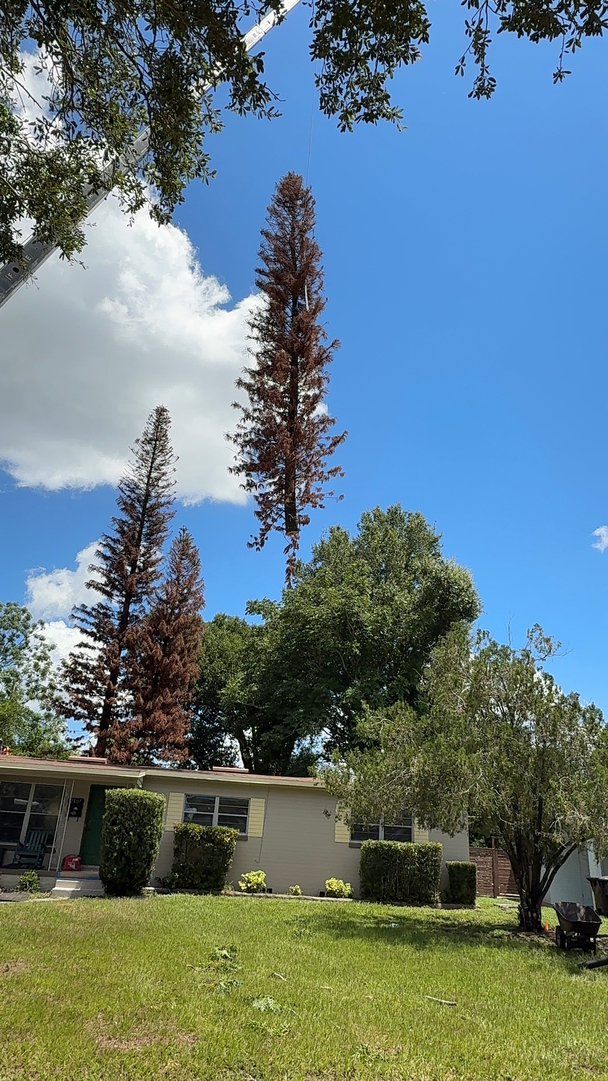 Kevin's Tree Service - Oviedo, FL
