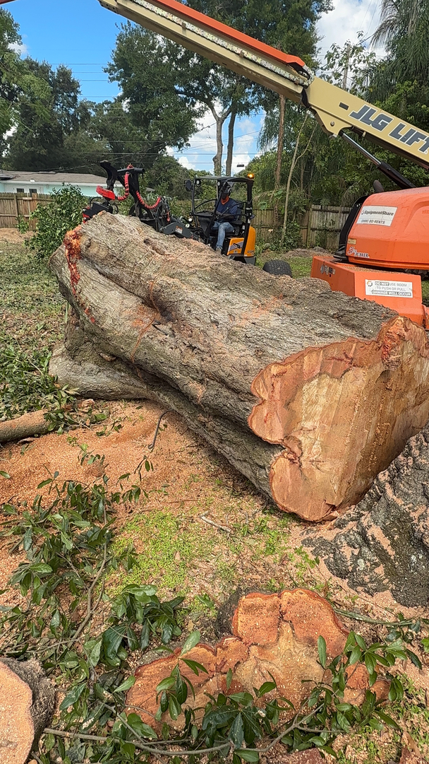 Kevin's Tree Service - Oviedo, FL
