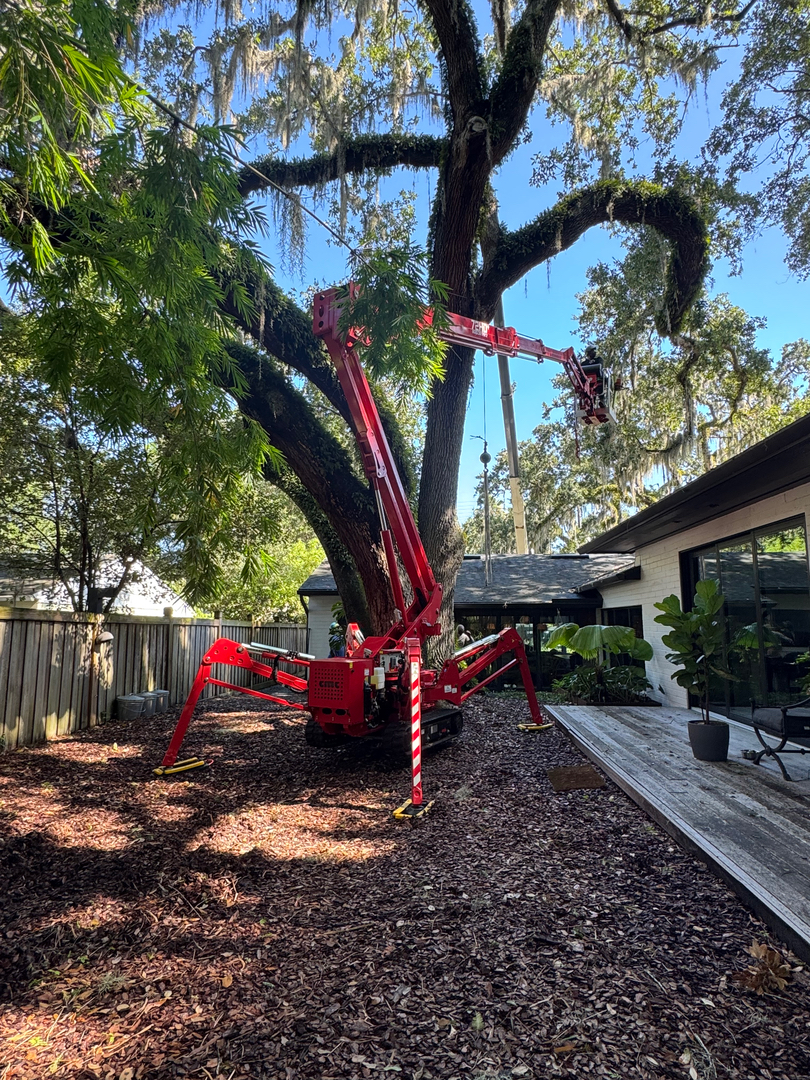 Kevin's Tree Service - Oviedo, FL