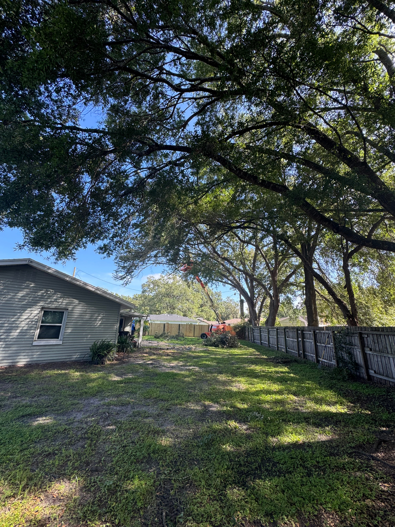 Kevin's Tree Service - Oviedo, FL