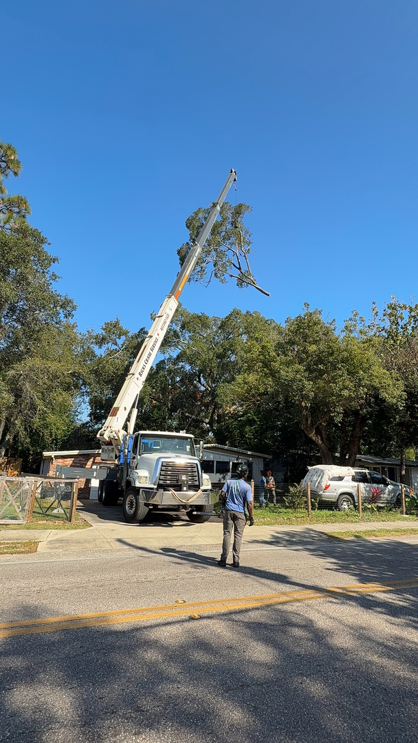 Kevin's Tree Service - Oviedo, FL