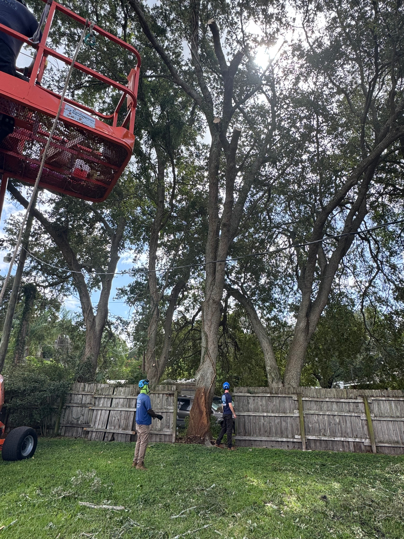 Kevin's Tree Service - Oviedo, FL