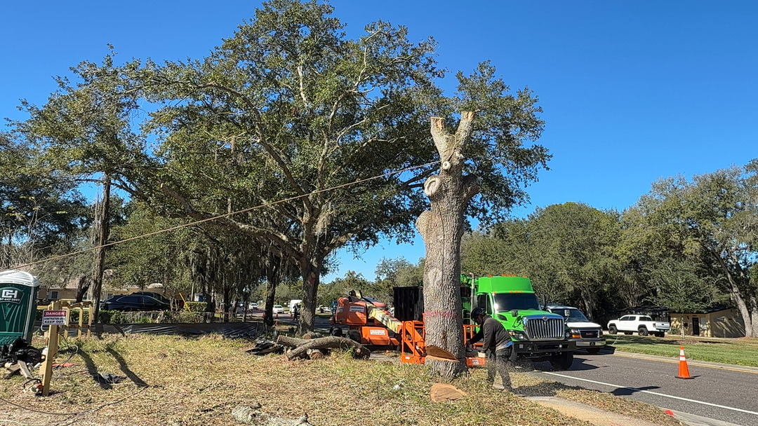 Kevin's Tree Service - Oviedo, FL