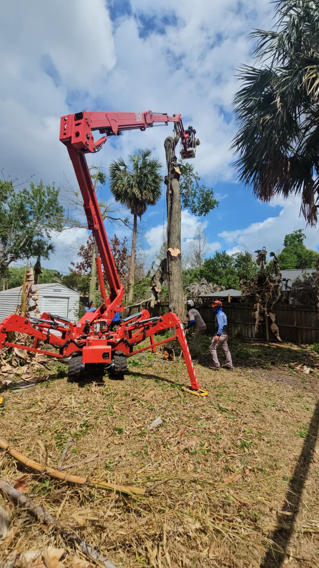 Kevin's Tree Service - Oviedo, FL