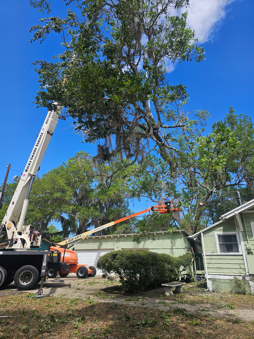 Kevin's Tree Service - Oviedo, FL