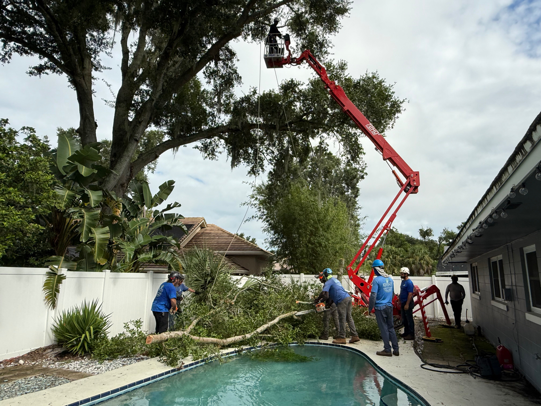 Kevin's Tree Service - Oviedo, FL