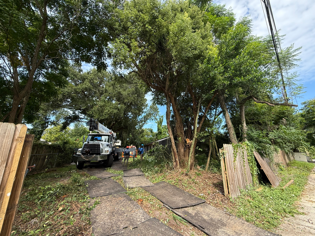 Kevin's Tree Service - Oviedo, FL