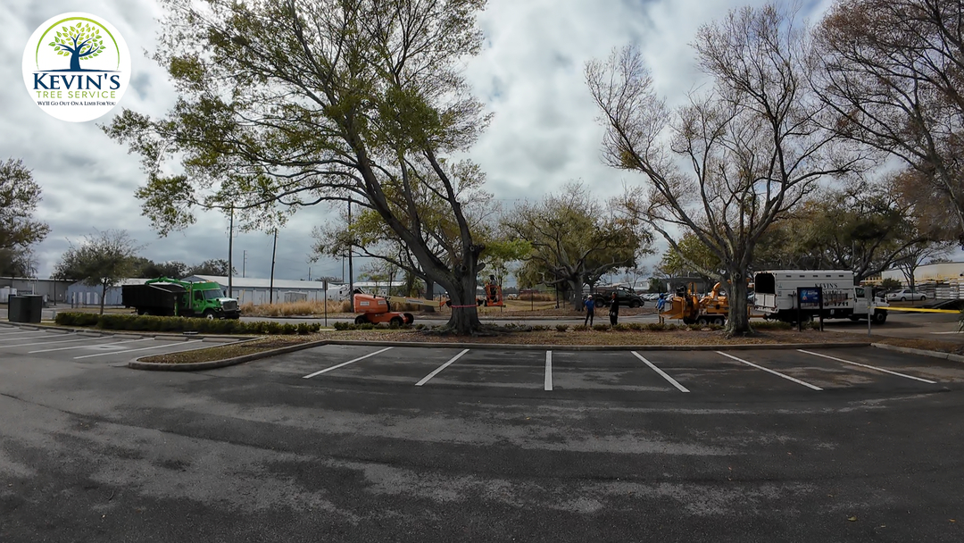 Kevin's Tree Service - Oviedo, FL