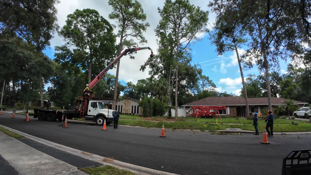 Kevin's Tree Service - Oviedo, FL