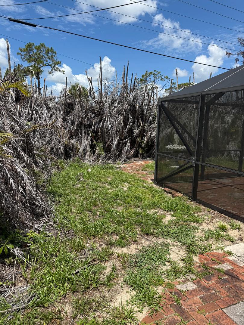 Kevin's Tree Service - Oviedo, FL