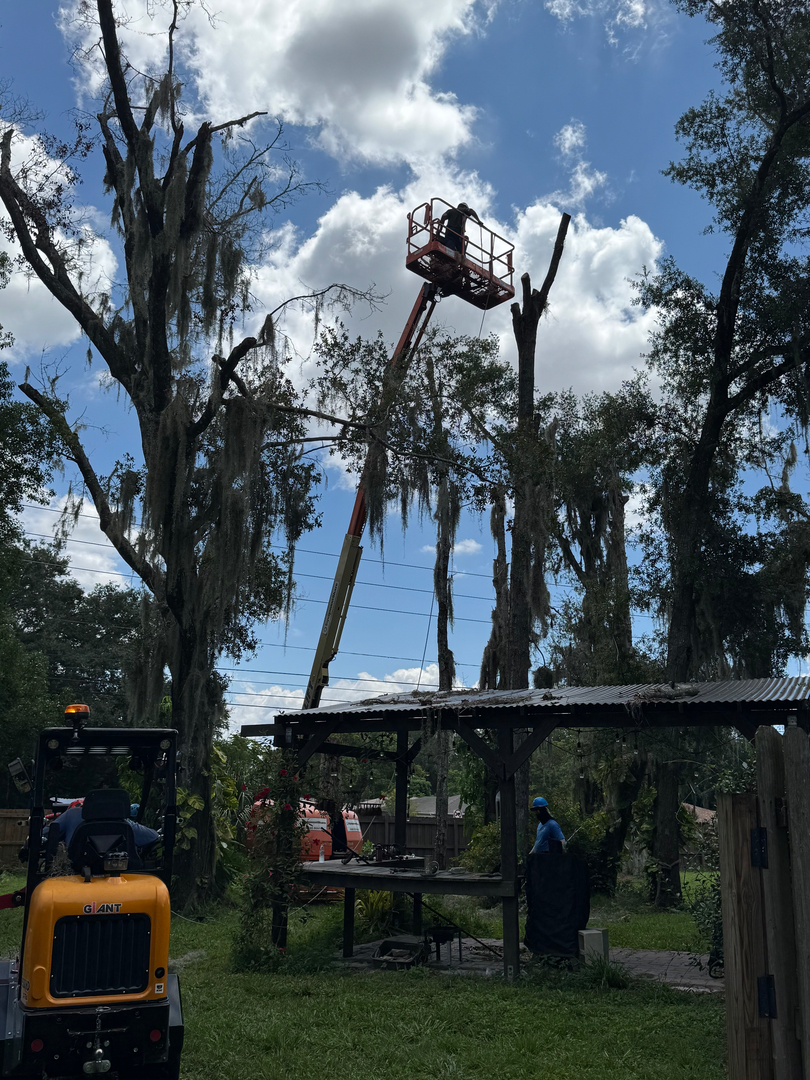Kevin's Tree Service - Oviedo, FL