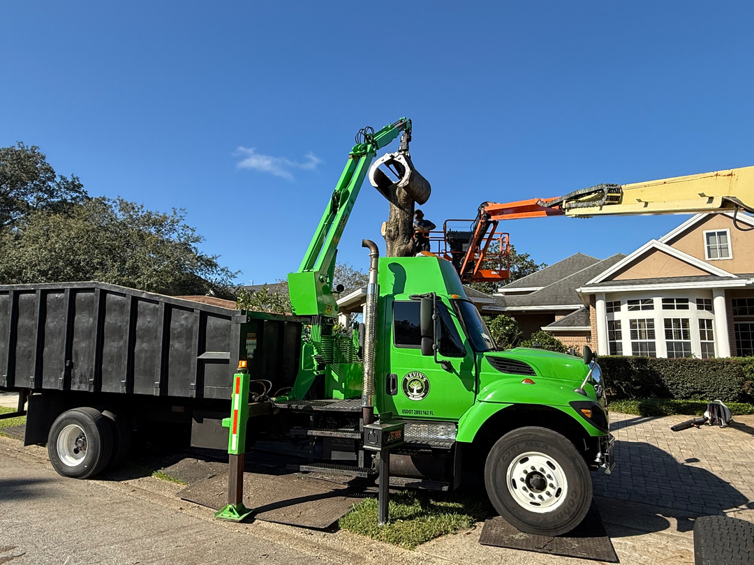 Kevin's Tree Service - Oviedo, FL