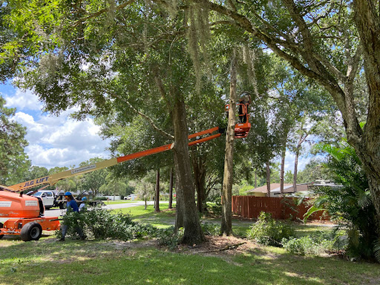 Kevin's Tree Service - Oviedo, FL