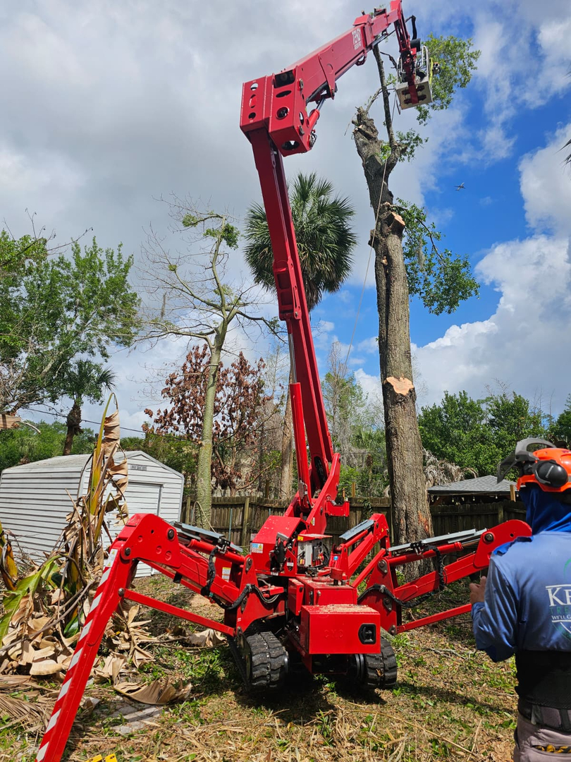 Kevin's Tree Service - Oviedo, FL