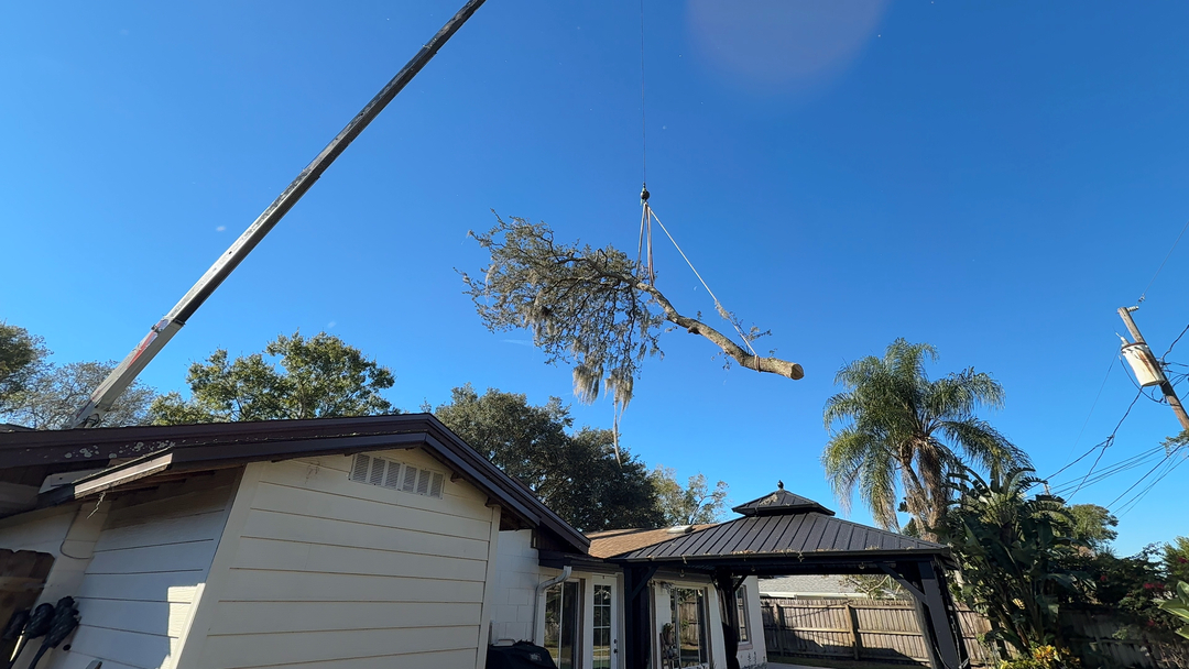 Kevin's Tree Service - Oviedo, FL