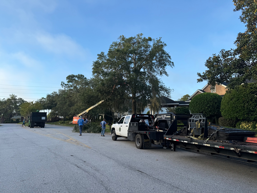 Kevin's Tree Service - Oviedo, FL