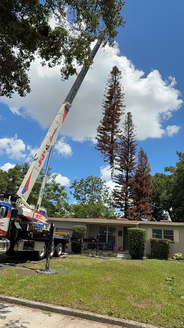 Kevin's Tree Service - Oviedo, FL