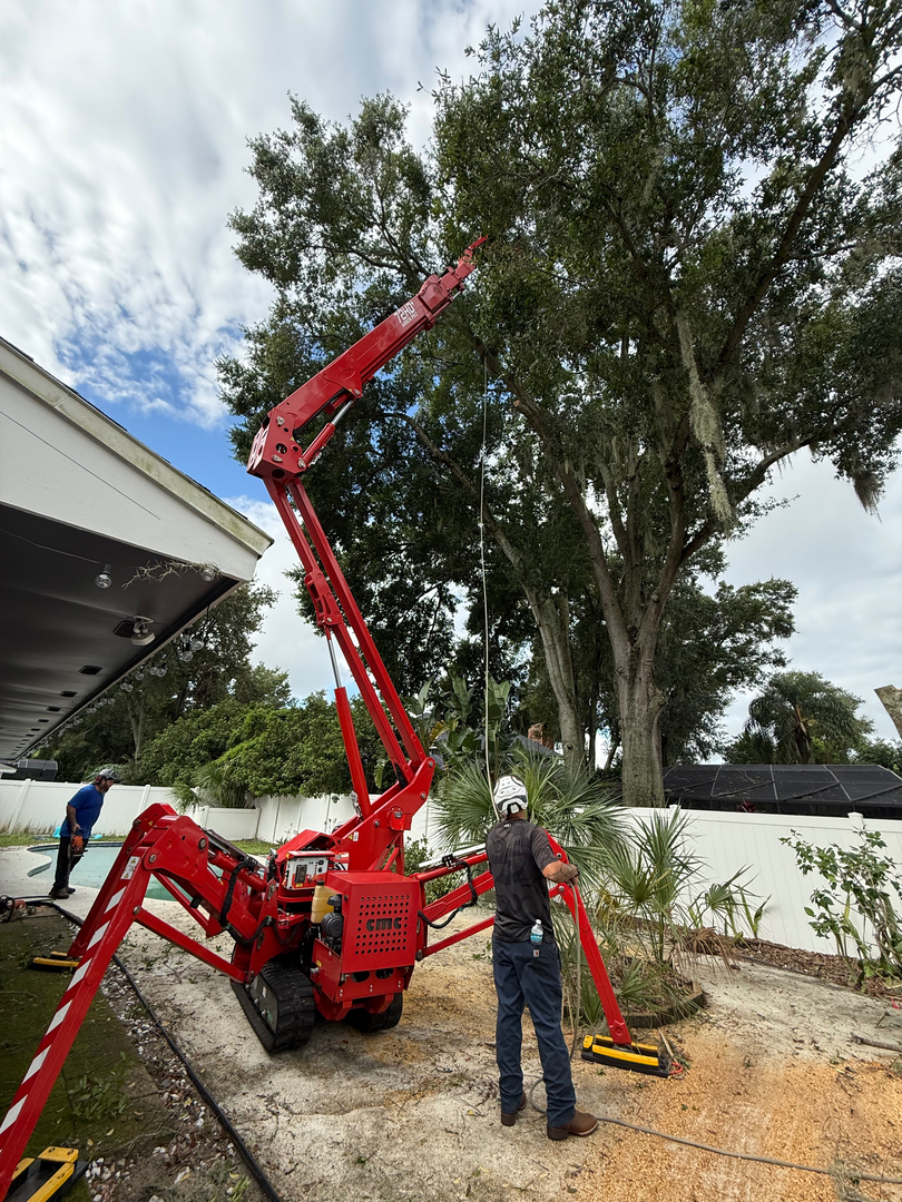 Kevin's Tree Service - Oviedo, FL