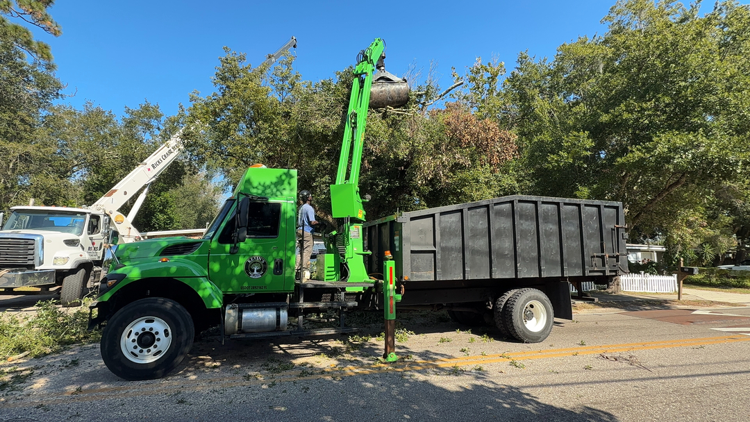 Kevin's Tree Service - Oviedo, FL
